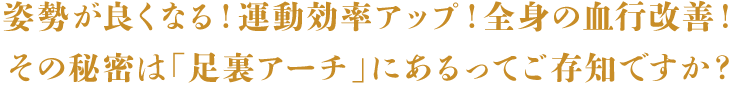 姿勢が良くなる!運動効率アップ!全身の血行改善!
その秘密は「足裏アーチ」にあるってご存知ですか?