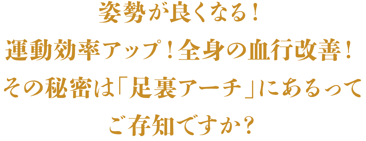 姿勢が良くなる!運動効率アップ!全身の血行改善!
その秘密は「足裏アーチ」にあるってご存知ですか?
